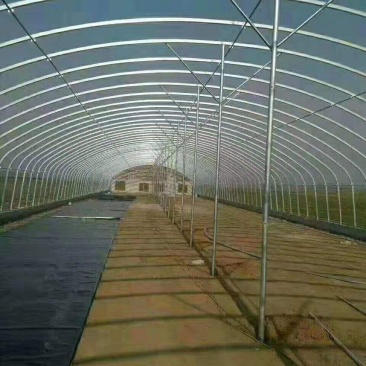 蔬菜大棚花卉大棚养殖大棚温室大棚大棚钢管