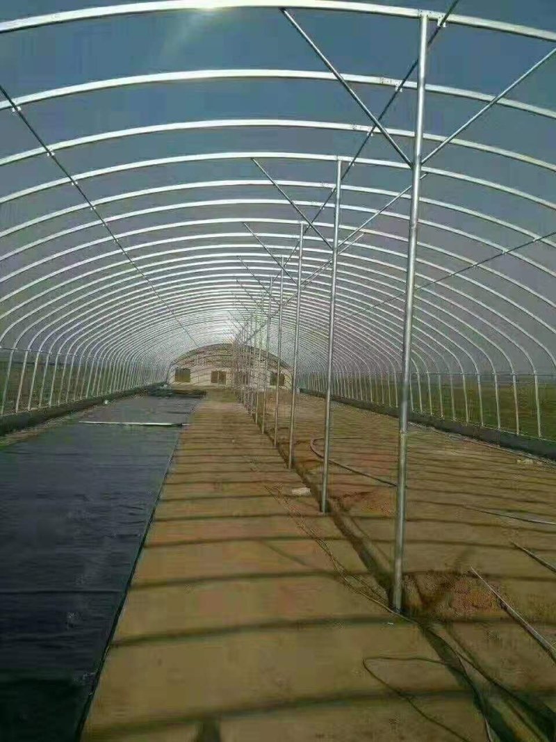 蔬菜大棚花卉大棚养殖大棚温室大棚大棚钢管