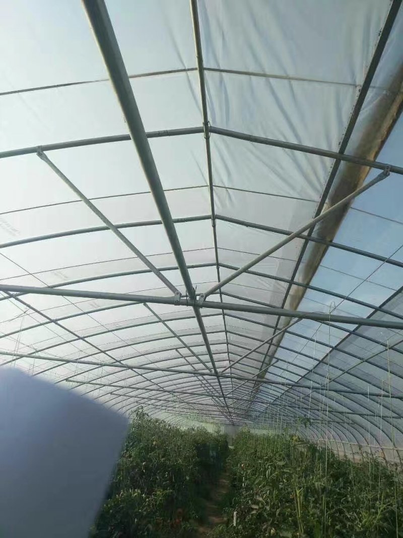 蔬菜大棚花卉大棚养殖大棚温室大棚大棚钢管