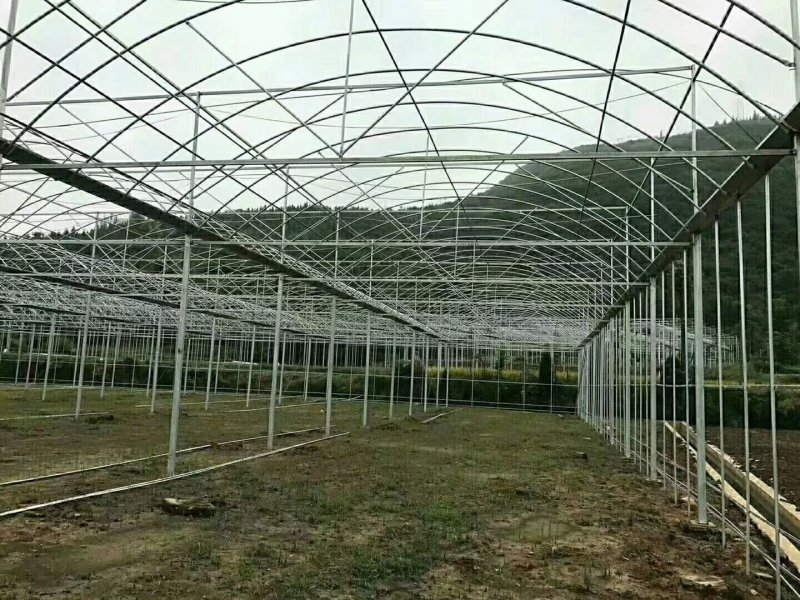 蔬菜大棚花卉大棚养殖大棚温室大棚大棚钢管