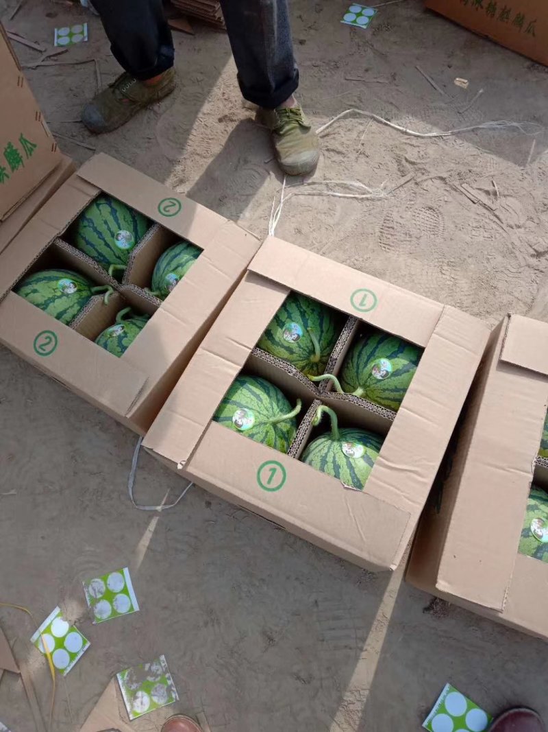 东台市8424西瓜精品大红瓤黑籽，糖度高品质保障欢迎下单
