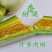 羊角蜜甜瓜香瓜蜜瓜