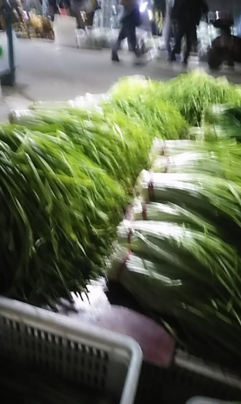 青韭黄