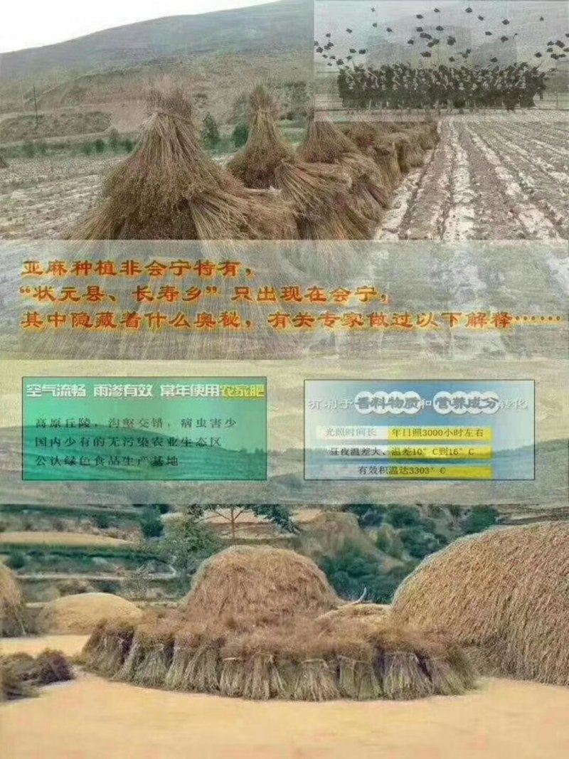 亚麻油