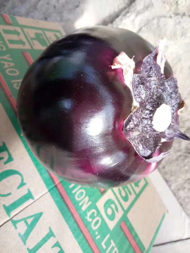 大量供应精品园茄，产地直供，按需分拣，保证质量，联系吧