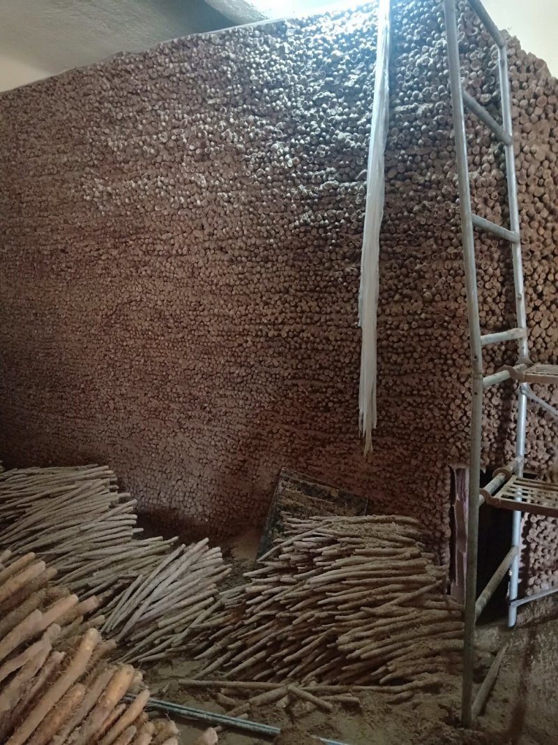【热销中】白玉山药大量出库中，货源充足品质保证价格美丽