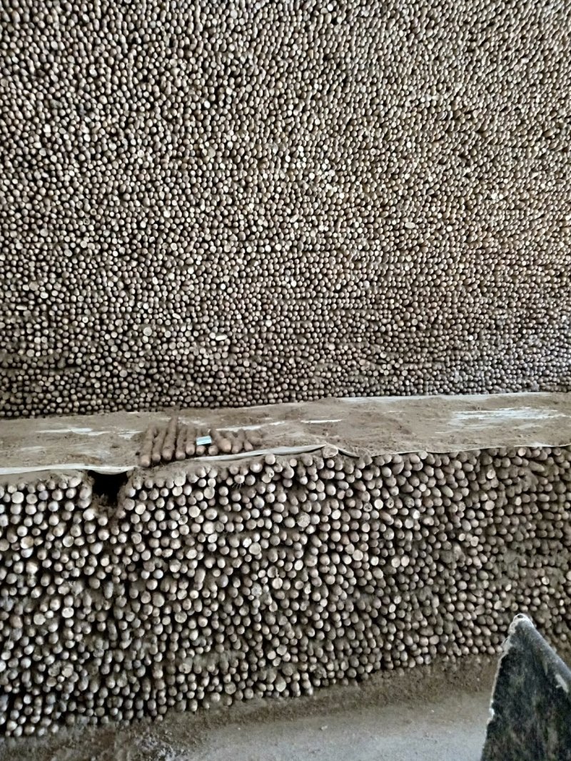【热销中】白玉山药大量出库中，货源充足品质保证价格美丽