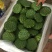 莲蓬新鲜水果莲蓬太空莲蓬嫩莲蓬青莲蓬