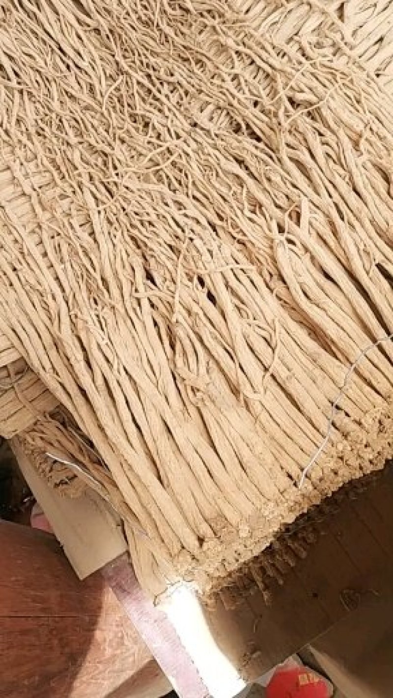 宕昌产地党参物美价廉