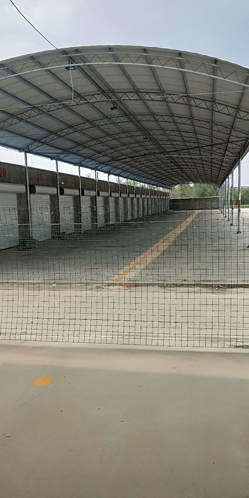 烟台大樱桃