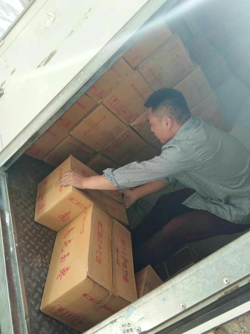 【常年经营店铺】大型和田大枣厂家批发商保质保量