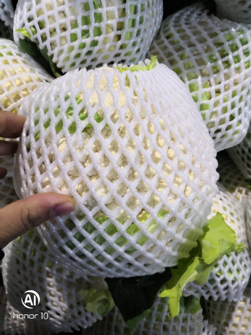 松花大量有货！！！！