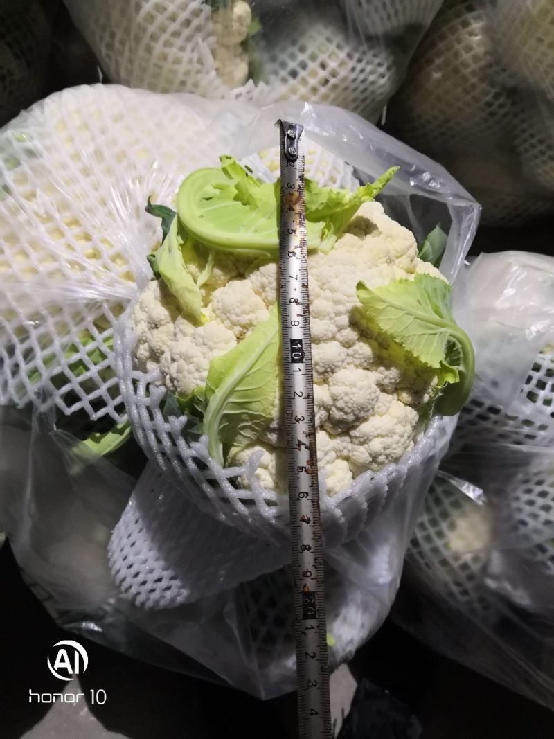 松花大量有货！！！！