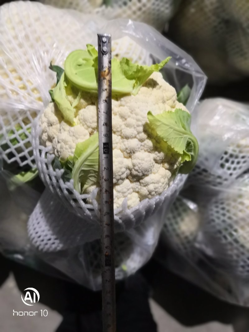 松花大量有货！！！！