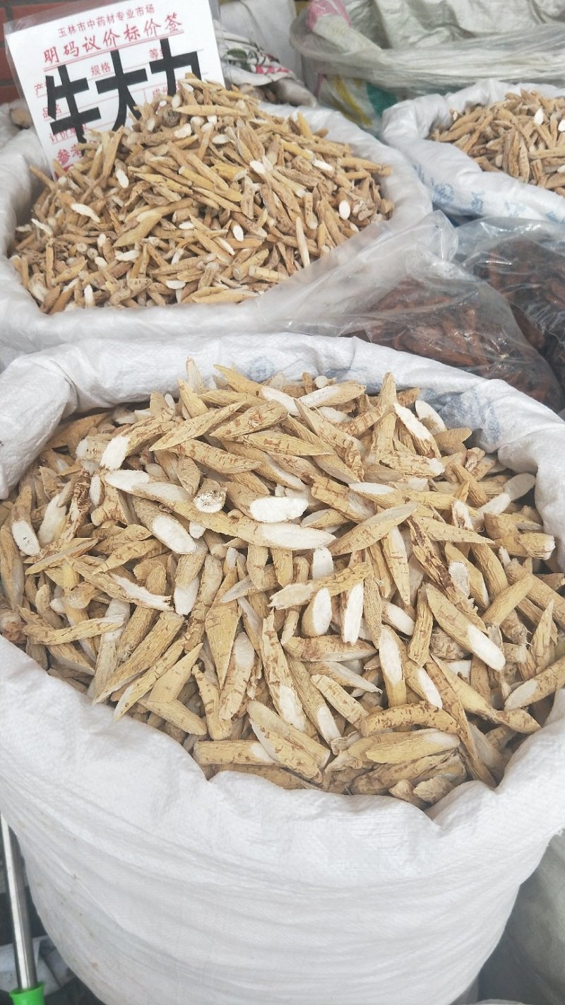 牛大力牛大力