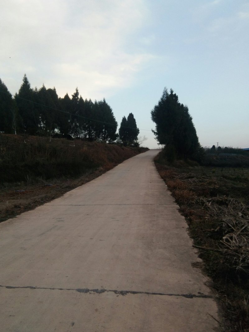 山地五万亩出租