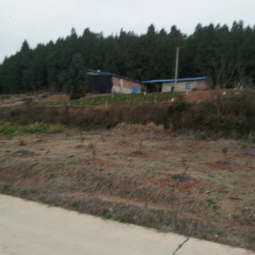 山地五万亩出租