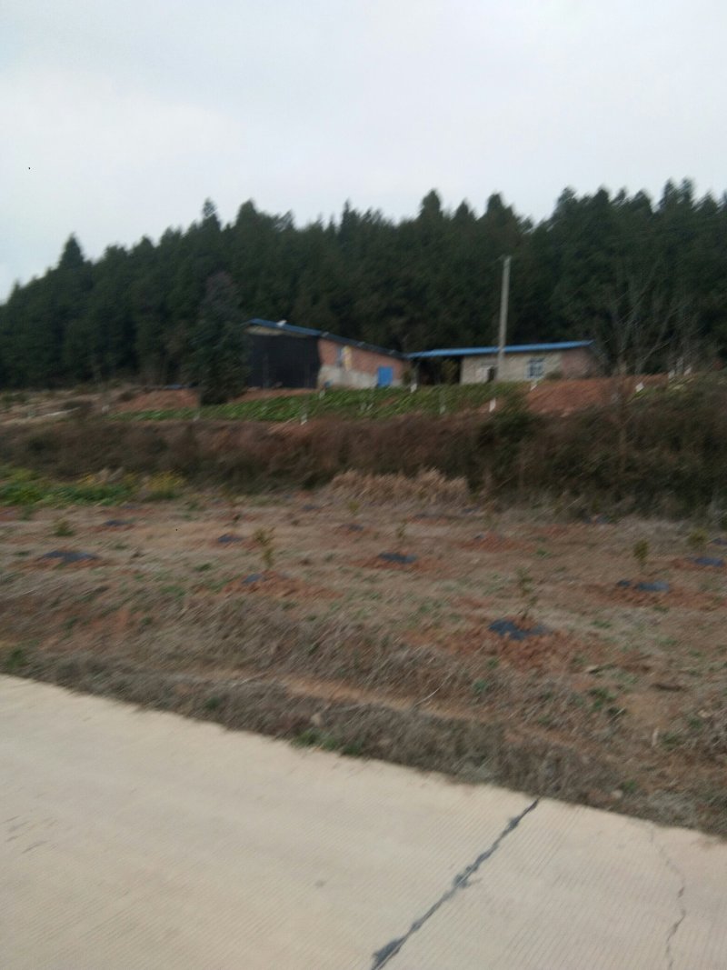 山地五万亩出租