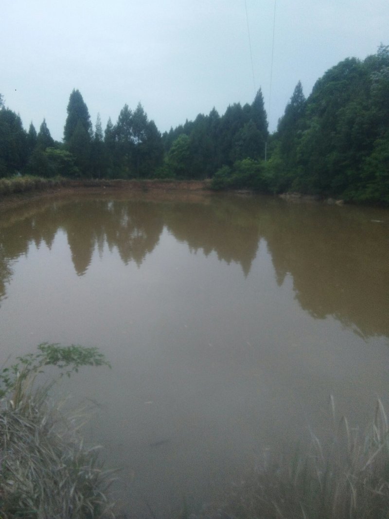 山地五万亩出租