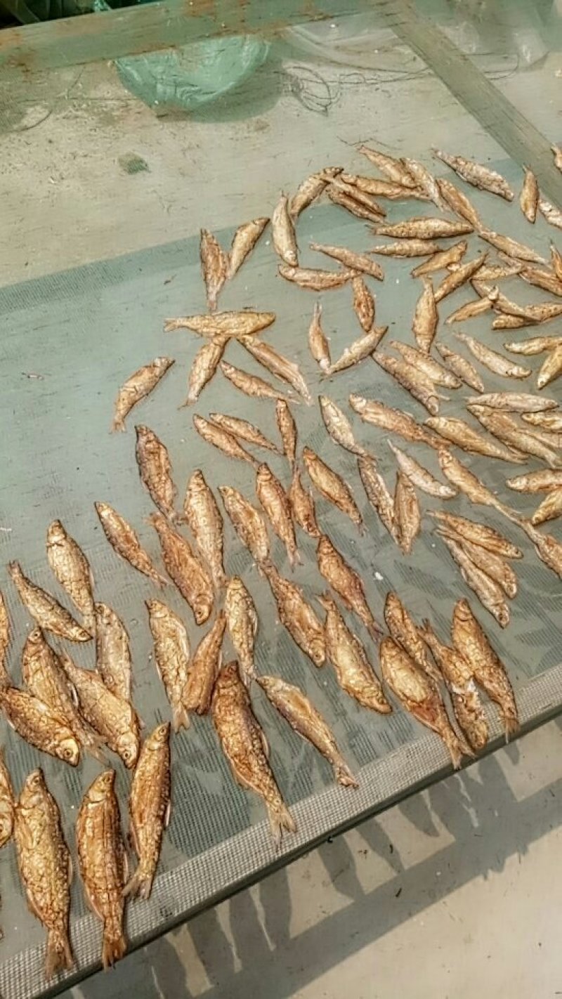 白条鱼烟熏的。
