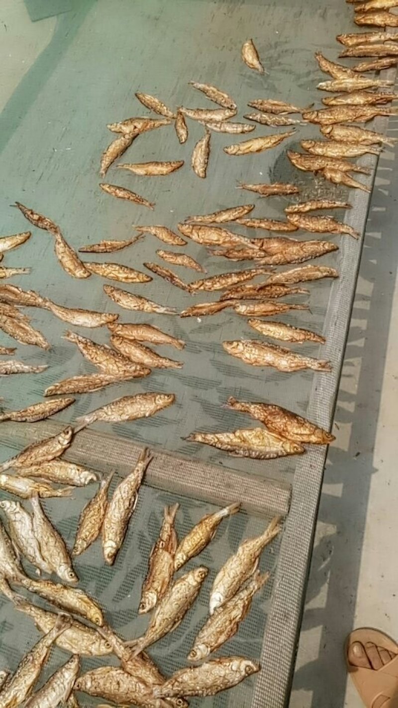 白条鱼烟熏的。