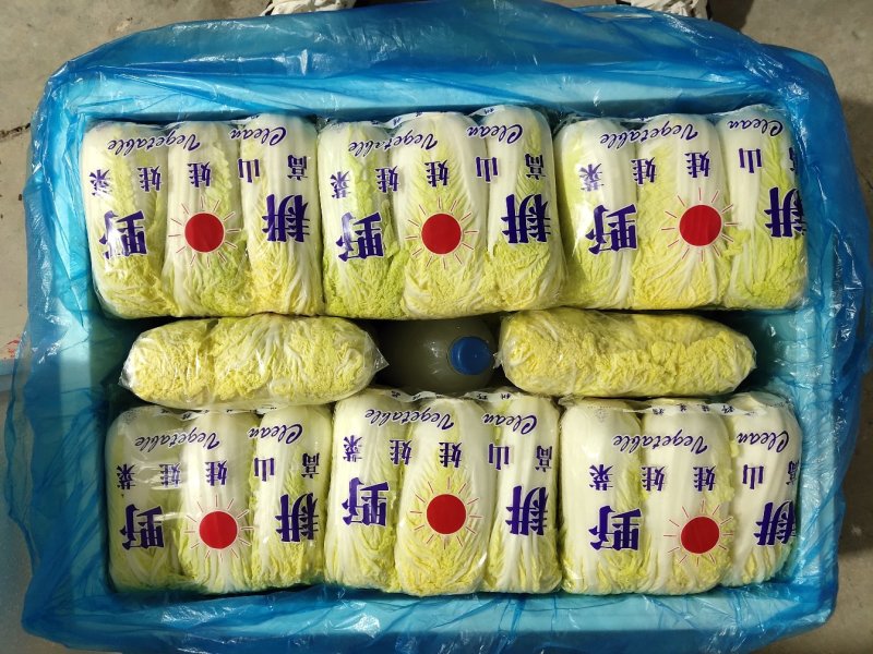 精品娃娃菜，纯黄，万亩基地直发！欢迎合作