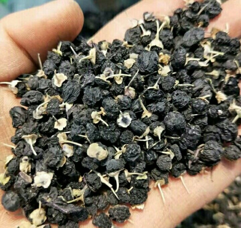 黑枸杞一罐500g甘肃玉门花海黑枸杞甘肃价格便宜批发
