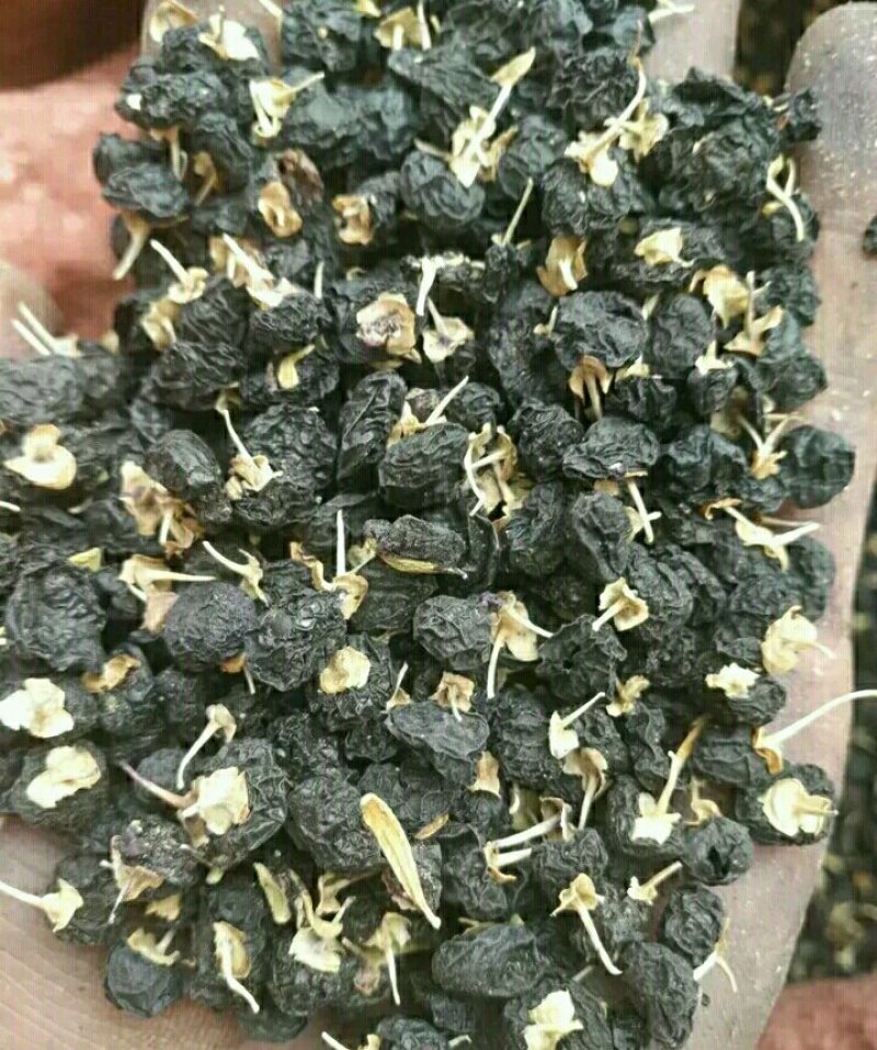黑枸杞一罐500g甘肃玉门花海黑枸杞甘肃价格便宜批发