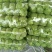 新货上市圆包菜精品甘蓝0.5~1公斤产地直供