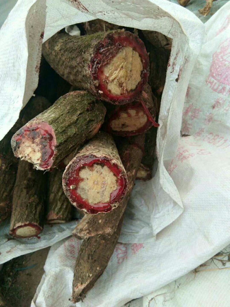 百花血藤，小血藤，鲜货，价格便宜，