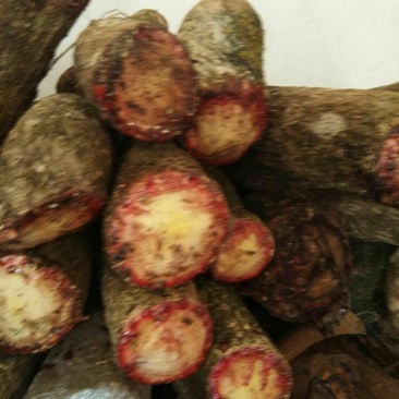 百花血藤，小血藤，鲜货，价格便宜，