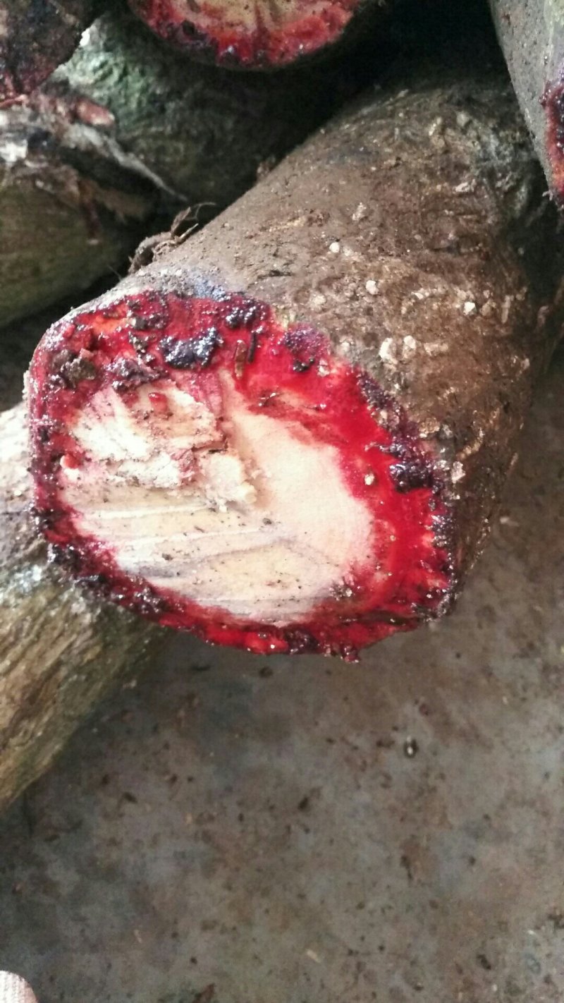 百花血藤，小血藤，鲜货，价格便宜，
