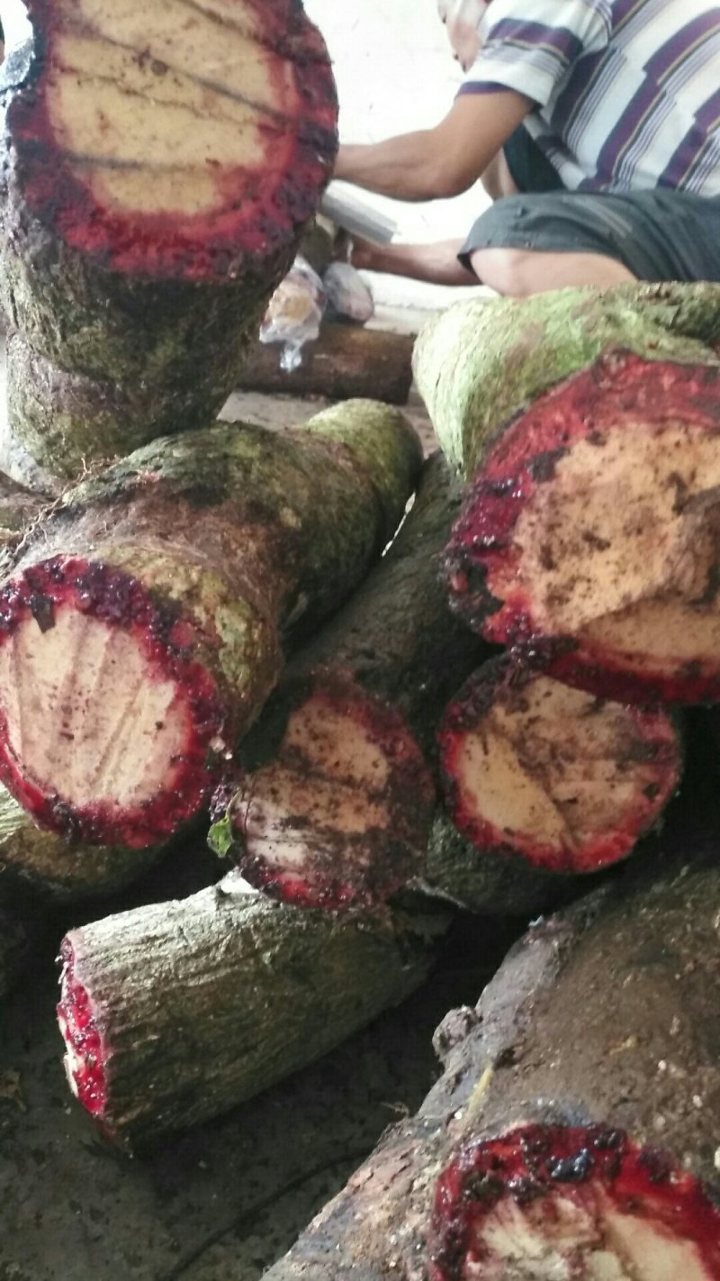 百花血藤，小血藤，鲜货，价格便宜，