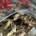 蝗虫(蚂蚱)