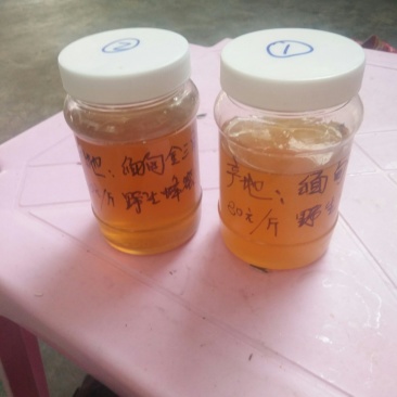 野生蜂蜜