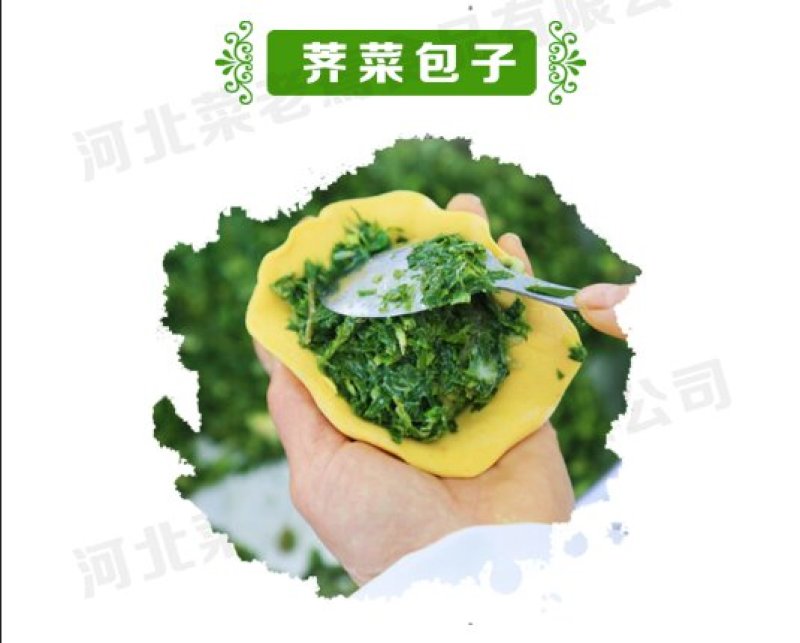 脱水荠菜碎，2020年新货散装荠菜馅饺子包子馄饨