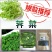 脱水荠菜碎，2020年新货散装荠菜馅饺子包子馄饨
