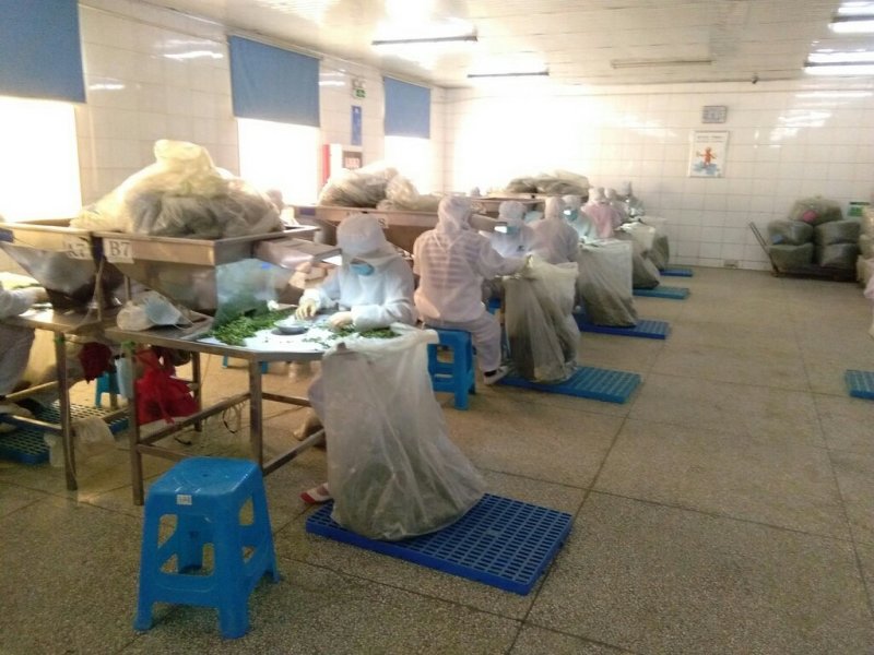 脱水荠菜碎，2020年新货散装荠菜馅饺子包子馄饨