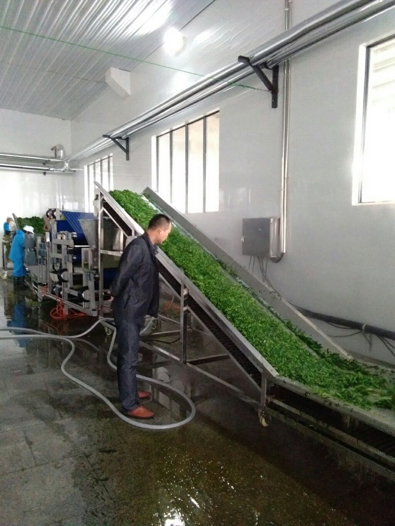 脱水荠菜碎，2020年新货散装荠菜馅饺子包子馄饨