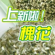 一级脱水槐花，10倍泡发，体积大，出数，最低仅24元/斤