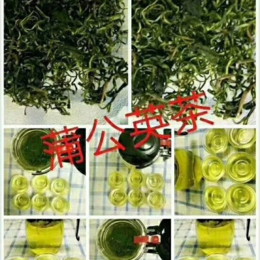 蒲公英茶