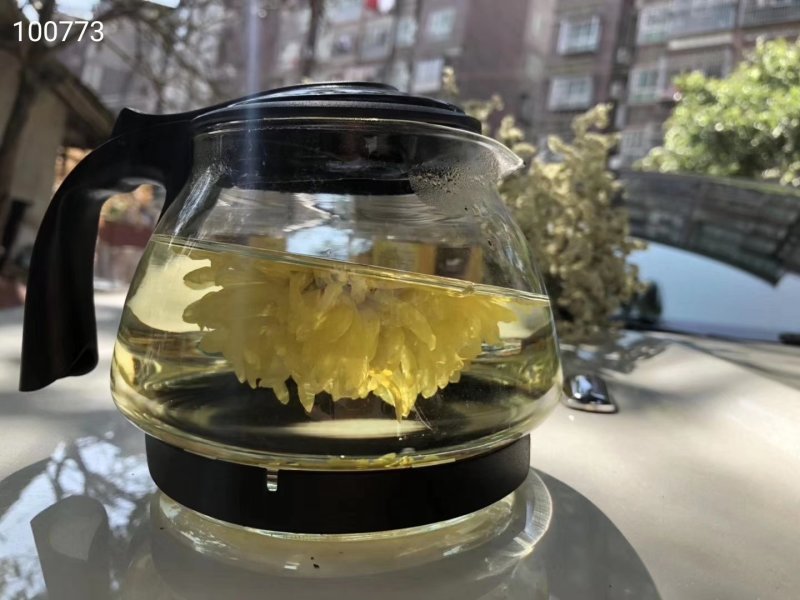 金丝黄菊