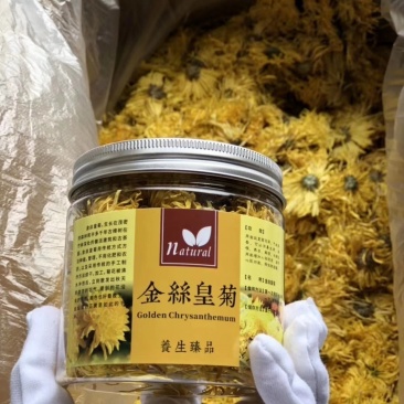 金丝黄菊