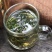 蒲公英茶