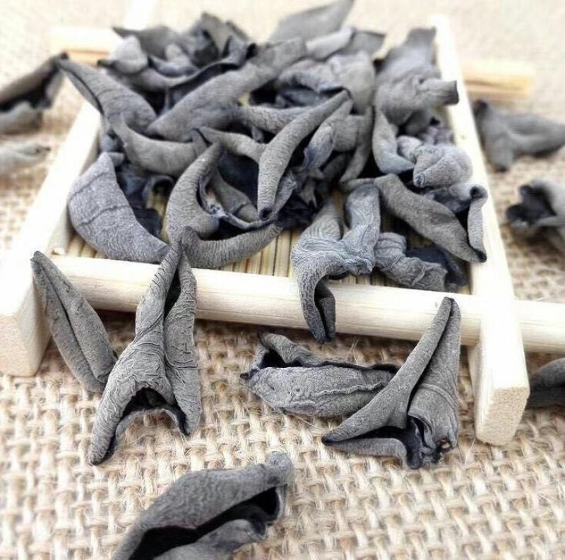 东北小木耳