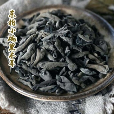 东北小木耳