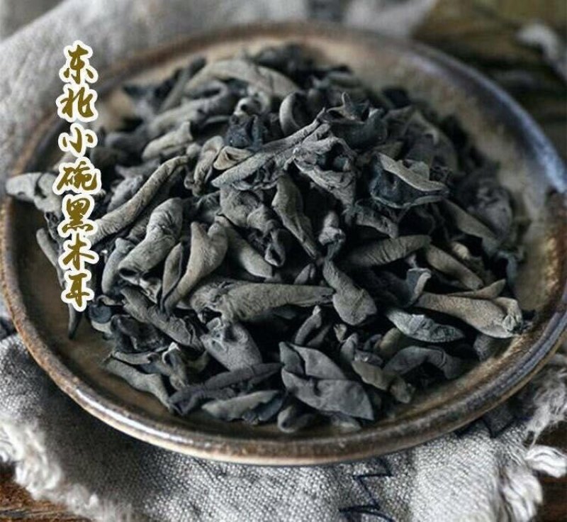 东北小木耳
