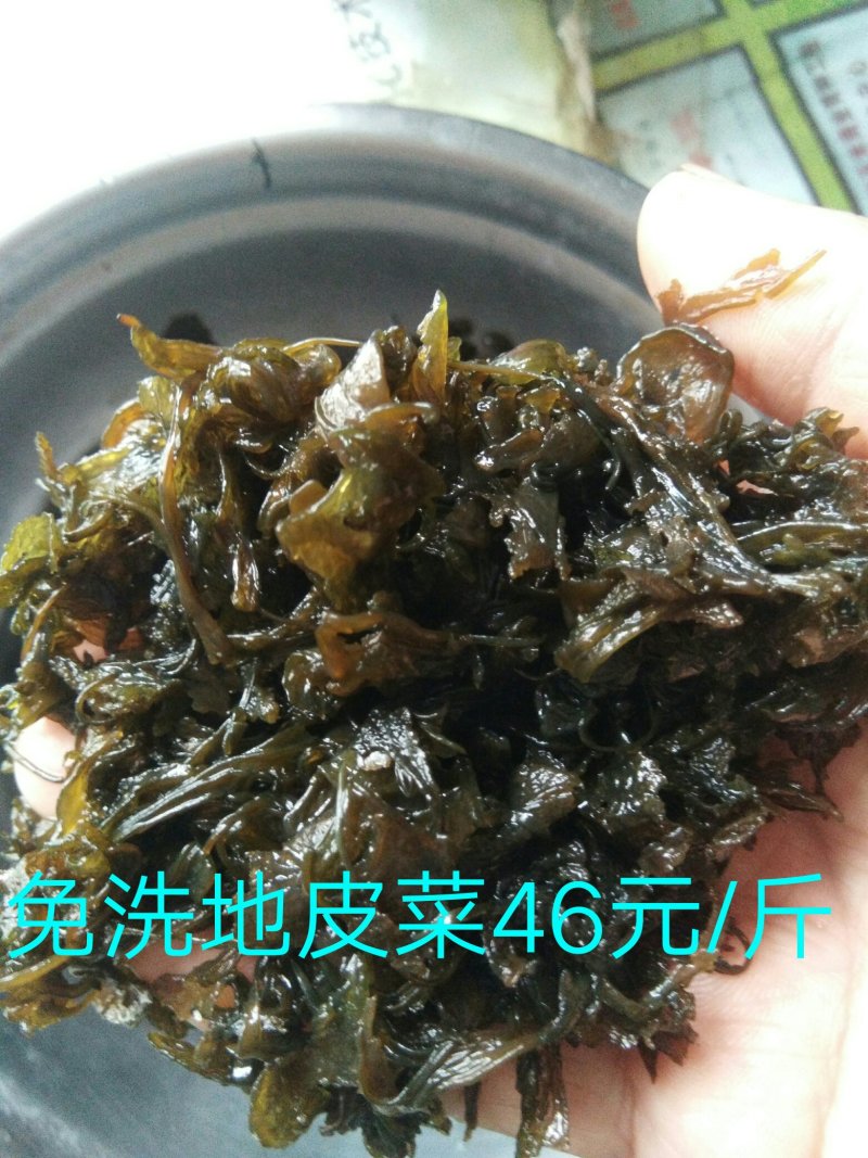 地皮菜，农家直销，一手货源，