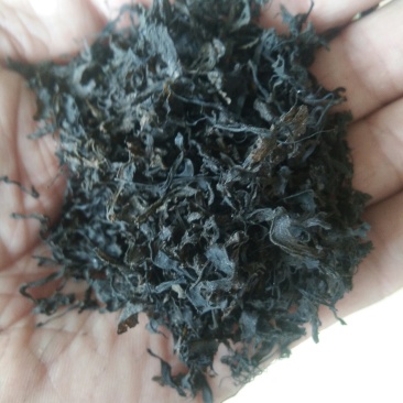 地皮菜，农家直销，一手货源，