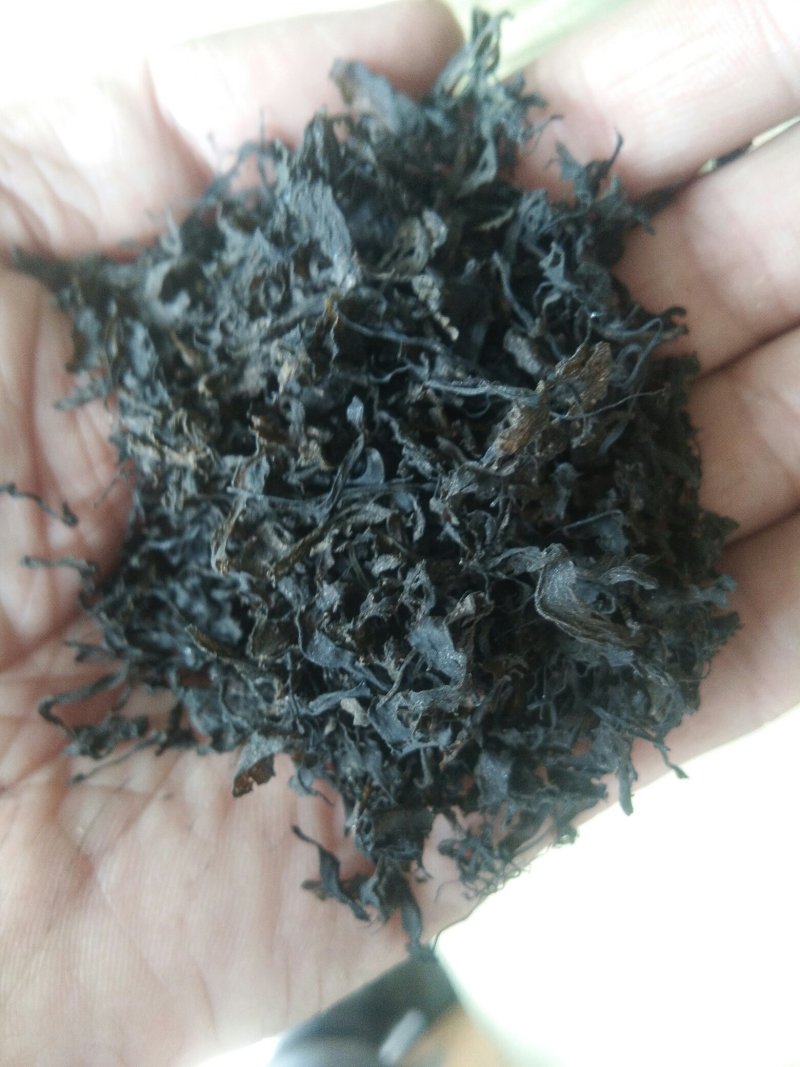 地皮菜，农家直销，一手货源，
